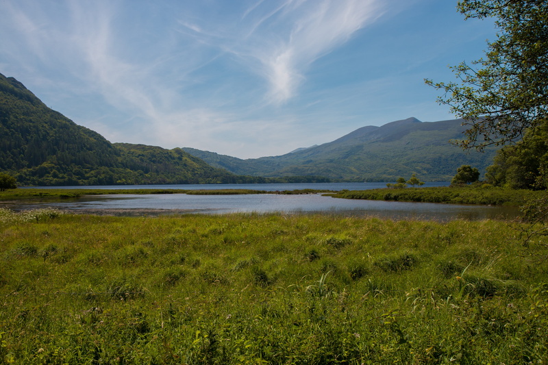 scenics - nature, tranquil scene, lake, sky, beauty in nature, mountain, cloud - sky, environment, 5K, nature, tree, more, water, landscape, green color