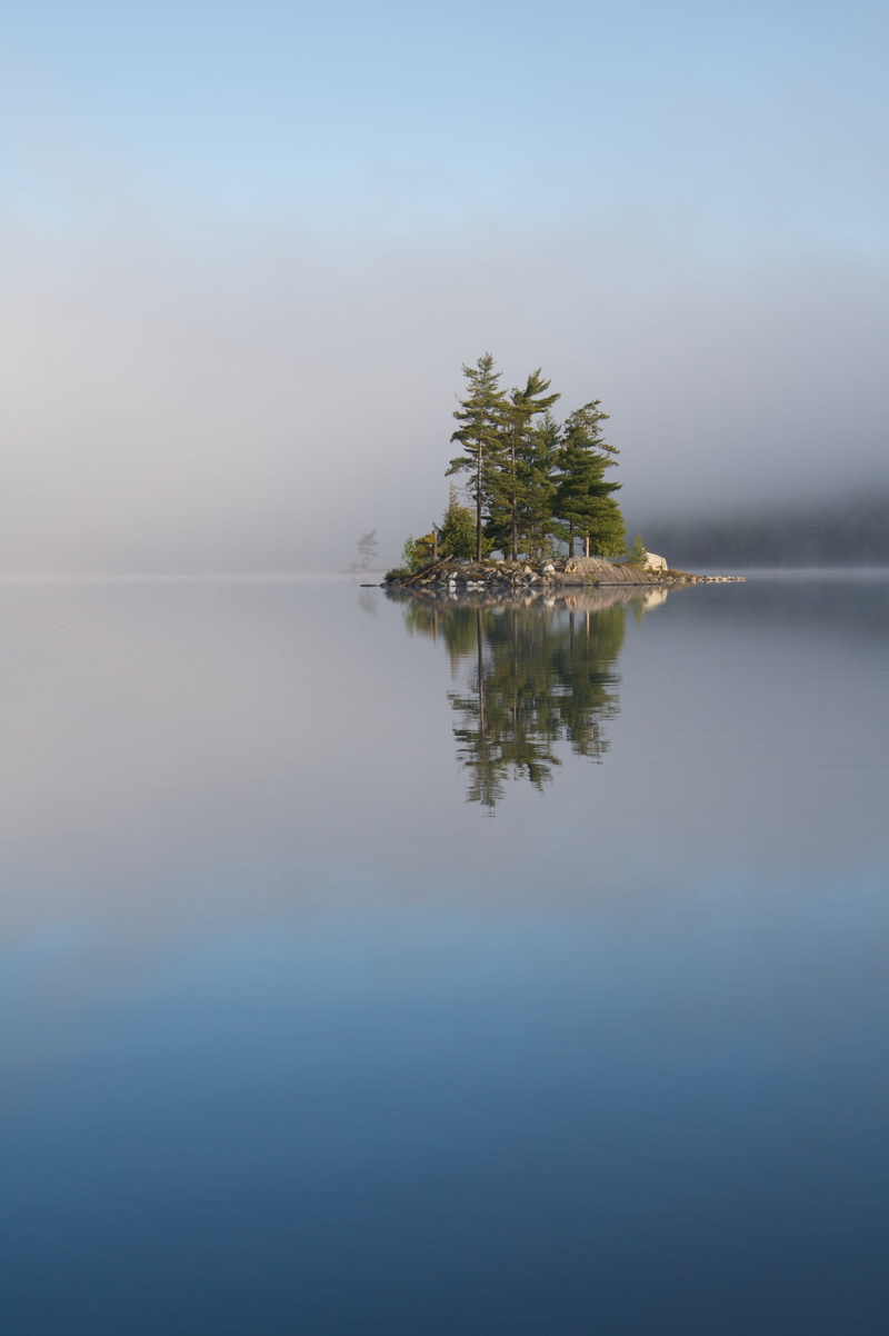 idyllic, daytime, reflection, outdoors, canada, day, forest, green, non-urban scene, copy space, tree, sky, o.s.a. lake, plant, nature, conifer, spruce