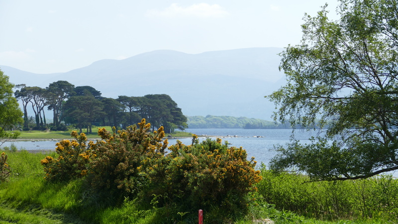 water, no people, sky, beauty in nature, growth, day, outdoors, tranquility, tree, plant, landscape, killarney, nature, land, scenics - nature, ireland