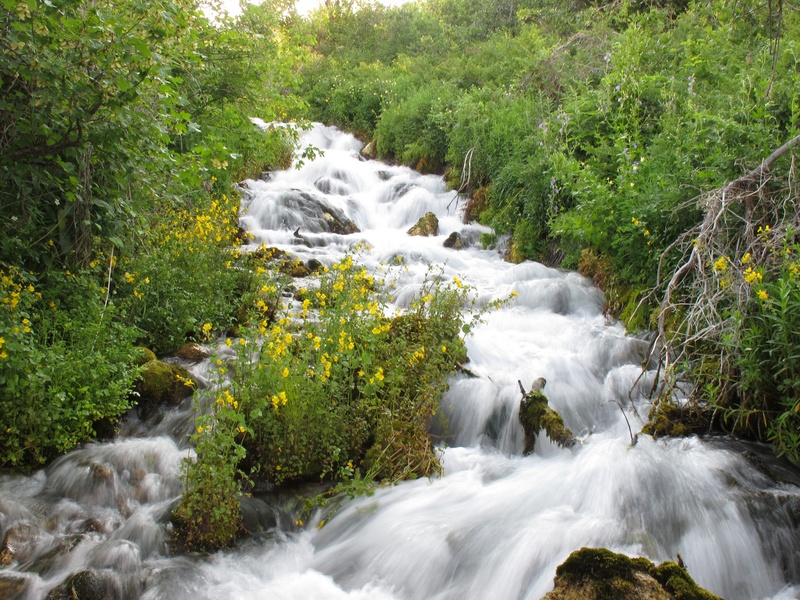 flowing, blurred motion, wild, nature, solid, green, landscape, utah, flowing Water, rock, motion, long exposure, springs, stream, outdoors, environment