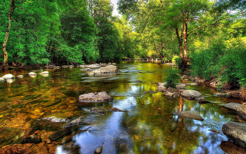 bridge, clear, green, coast, hd, 2K, trees, windows, crystal, river, desktop, rock