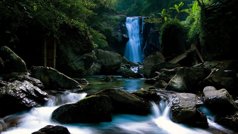 beauty In Nature, rainforest, falls, stones, heaven, scenics - nature, freshness, leaf, water, power in nature, solid, stream, river, flowing Water, blurred Motion