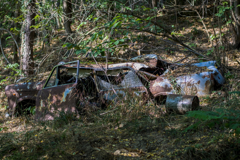 non-urban scene, Vintage car, old car, growth, tree trunk, land, no people, abandoned, damaged, trunk, grass, plant, mode of transportation, wildflowers
