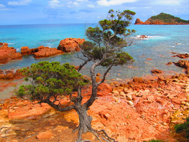 horizon over water, tranquil scene, sea, tranquility, beach, scenics - nature, solid, rock, beauty in nature, rock - object, shoreline, wild, 4K, horizon