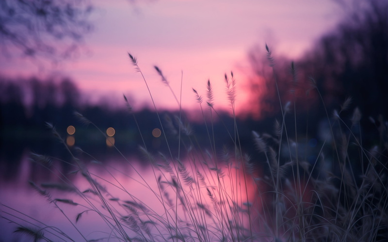 selective focus, tranquil Scene, no People, scenics - nature, light - Natural Phenomenon, land, beauty In Nature, sunset, wildflower, multi Colored, color Image