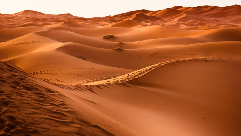 sand, sand dunes, dune, desert, 4K, sandy