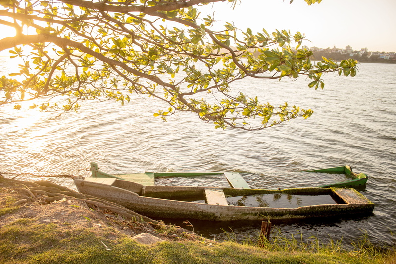 body, canoes, nature, plant, lake, traditional, water, green, tropical, tradition, river, land, ingredient, decor, tranquility, no people, tree, daytime