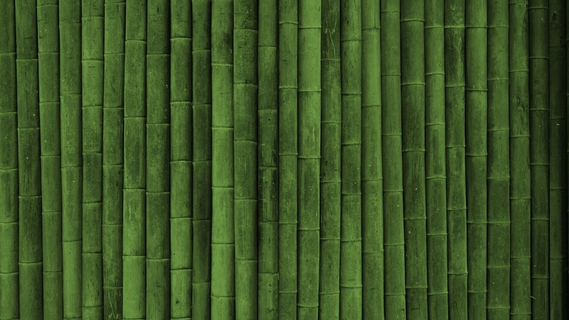1080P, minimalism, bamboo