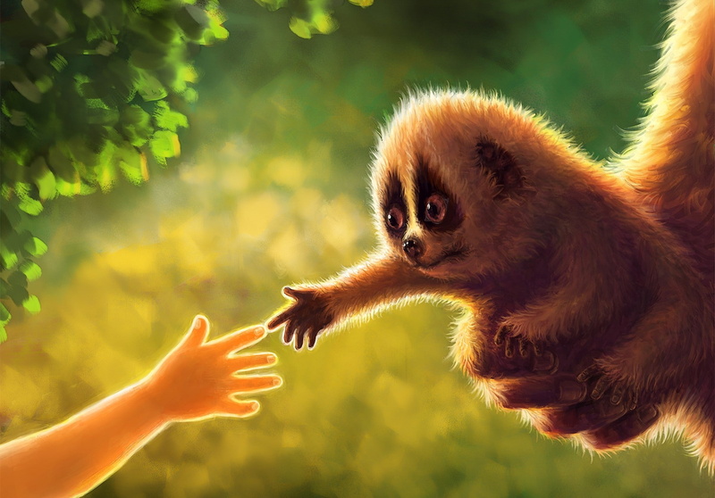 foliage, pets, people, finger, baby, animals in the wild, animal, human body part, hand, animal wildlife, small, Jiang Zhi, art, Lori, focus on foreground