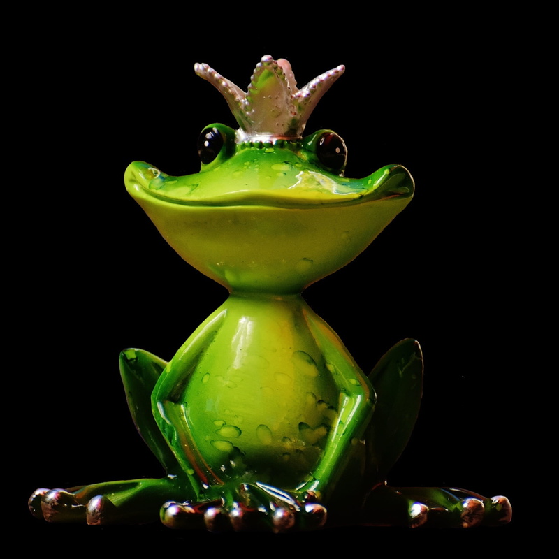 funny, representation, animal representation, animal, decoration, animal themes, animal wildlife, food, still life, studio shot, no people, amphibian, frog prince