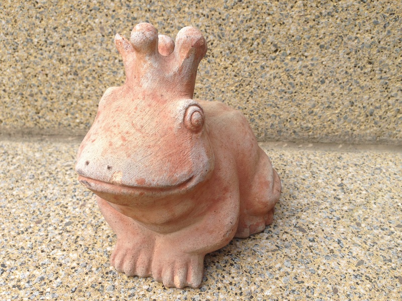 pig, animal wildlife, animal, herbivorous, no people, animal themes, high angle view, one animal, prince, vertebrate, outdoors, frog, zoo, 2K, fairy tales