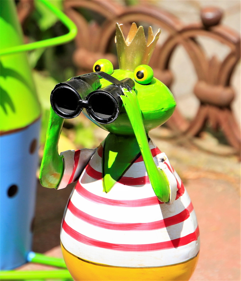 look in the distant, outdoors, green, focus on foreground, still life, close-up, binoculars, sunglasses, frog prince, art and craft, crown, frog, representation