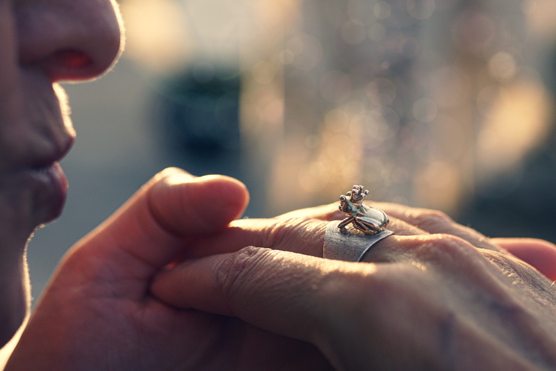 focus on foreground, human body part, frog, human hand, 5K, close-up, small, kiss, connectedness, animal wildlife, fairy tales, body part, archetype, prince
