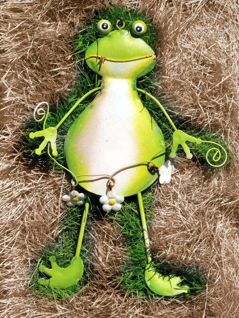 grass, still life, green frog, suntan, toad, healthy eating, animal nest, sheet, high angle view, funny, plant, green, 2K, freshness, frog, tin frog, close up view