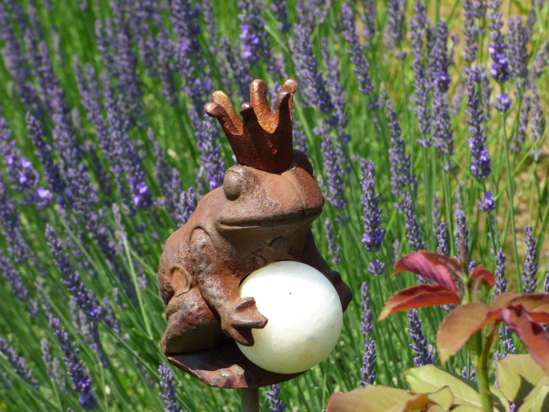 vulnerability, outdoors, no people, day, easter, egg, flower, easter egg, nature, plant, close-up, animal themes, growth, Frog Prince, freshness, mammal