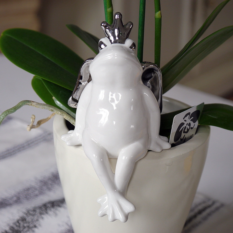 white color, vintage, christmas ornament, plant part, nature, live, no people, close-up, green color, focus on foreground, christmas, figure, holiday, frog prince