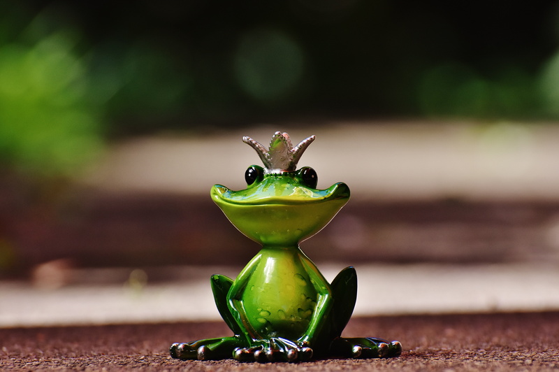 close-up, selective focus, focus on foreground, outdoors, cute, leaf, no people, table, nature, plant, figure, frog prince, healthy eating, funny, 5K