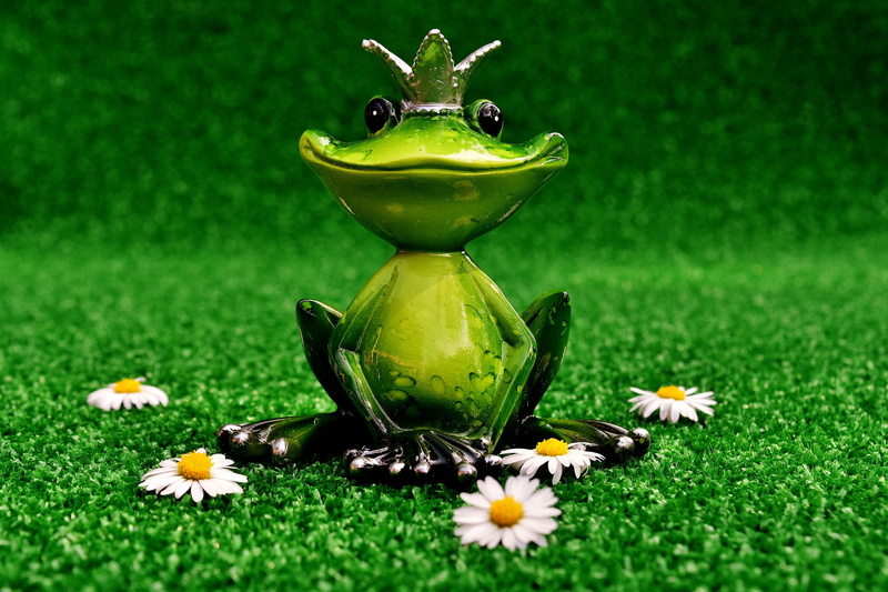 cute, green, grass, yellow, animal, green Color, figure, plant, flowering plant, frog prince, frog, white, outdoors, figurine, animal representation, fragility