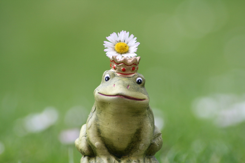 fairy tales, nature, desire, birthday card, close-up, no people, beauty in nature, animal head, day, one animal, green color, animal body part, outdoors