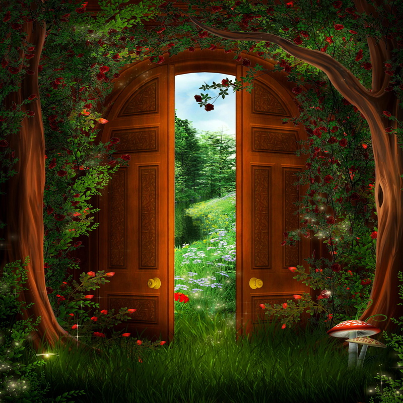 beautiful, fairy, splendor, dream, peaceful, flowers, magic, painting, outer space, lovely place, green, brown, 1080P, garden, future, door, infi