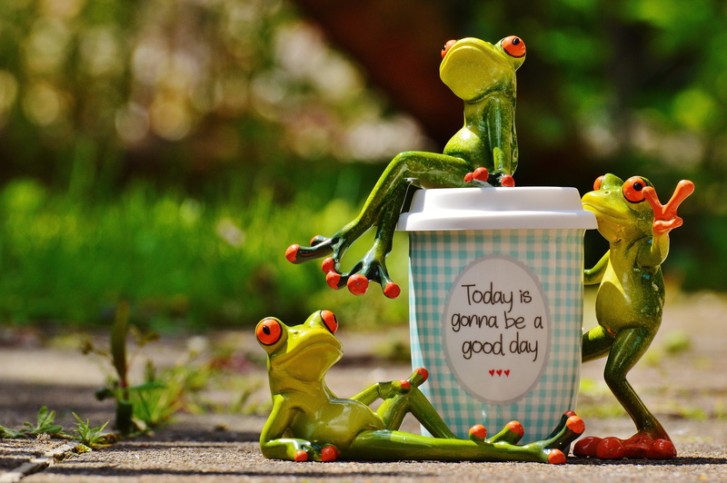 cup, text, figurine, healthy eating, art and craft, joy, emotion, good mood, focus on foreground, smile, representation, food, toy, day, animal, happy