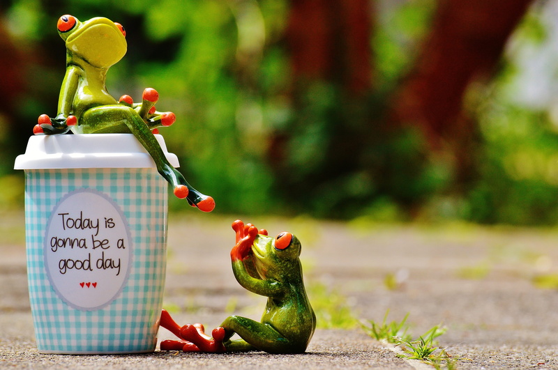 life is beautiful, frogs, communication, frog, funny, keep smiling, art and craft, animal representation, healthy eating, happy, courage, small, 5K, toy