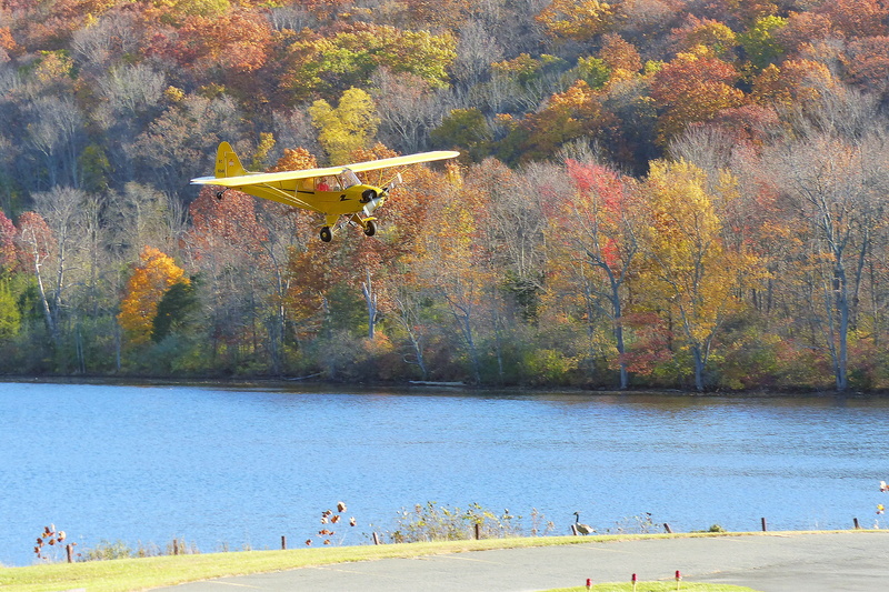 pictures of airplanes, single, tree, real people, small plane, private plane, airplane, ready, air port, travel, small aircraft, cockpit, flight, propeller