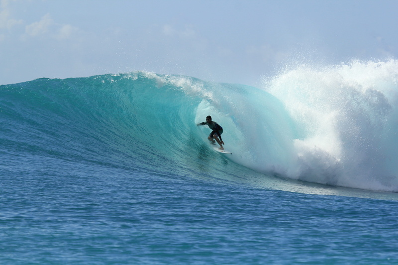 aquatic sport, active, surfing, adventure, one person, holiday, positive emotion, skill, water, winter sport, leisure activity, surf, lifestyle, beauty in nature