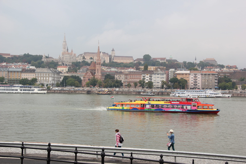 beauty, nautical vessel, buda, capital, famous, color, cityscape, castle, building exterior, hungary, danube, knight, bridge, railing, king, hill, day