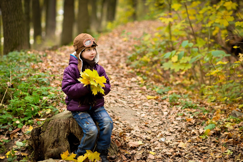 flower, autumn, child, plant part, leaf, jacket, boy, holding, full length, casual clothing, offspring, land, innocence, forest, flowering plant, leaves