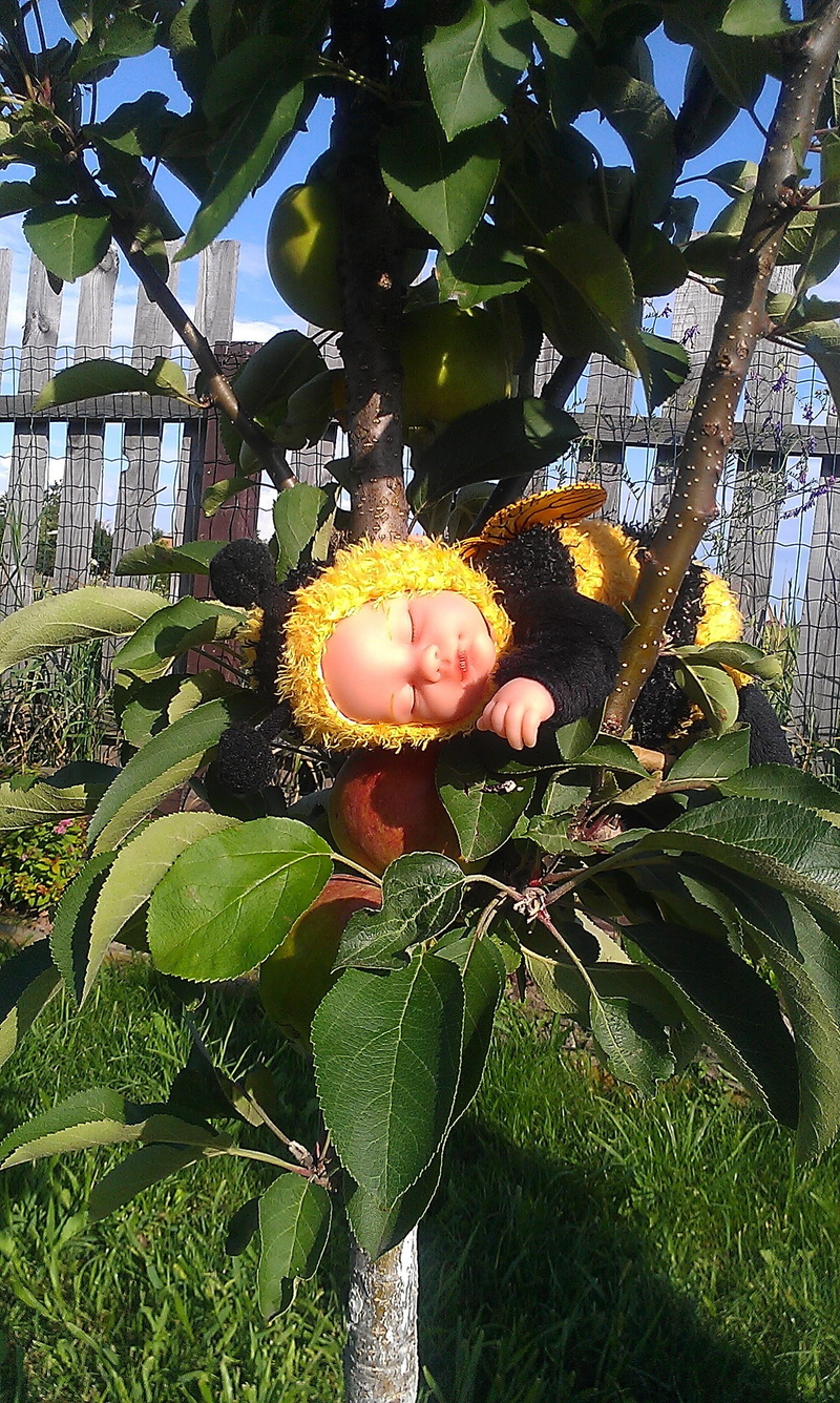 plant part, vulnerability, green color, photographing children, plant, tree, yellow, kids, anna gede, leaf, day, fragility, sweet, dolls, looking at camera