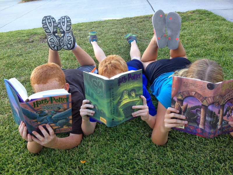 day, photograph, childhood, kids, boys, outdoors, reading book, three, childrens, kids reading, field, leisure activity, laying, holding, women, read, men