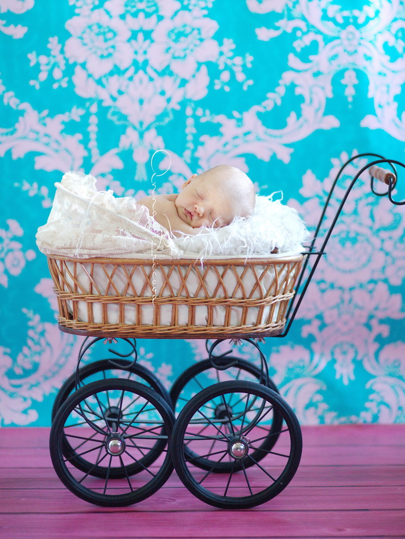 blue, bicycle, floral pattern, baby, portrait, brown, animal themes, wall - building feature, transportation, the little girl, nicely, 4K, animal, container