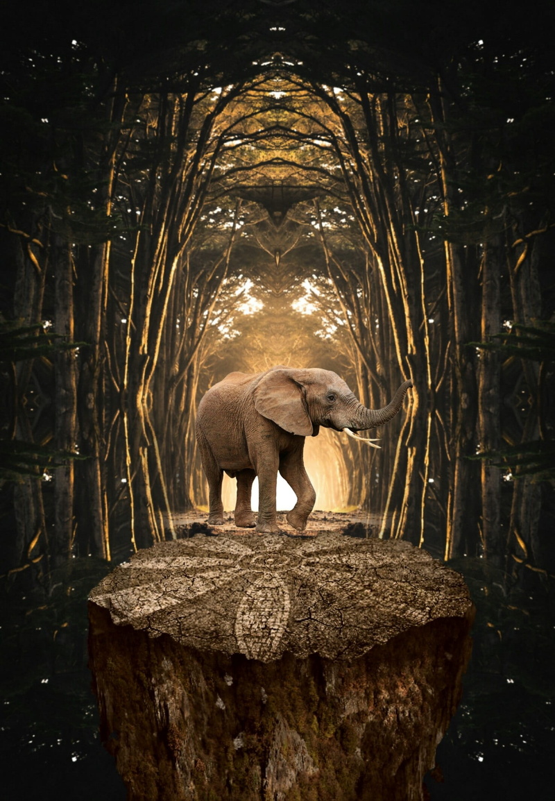 animal themes, sculpture, no people, travel, mammal, standing, 1080P, stroll, art, tree, representation, motion, old, one animal, creativity, nature, animal wildlife