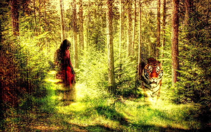 a tiger, stroll, a girl, 1080P, woods, forest, style, 3d and abstract, texture