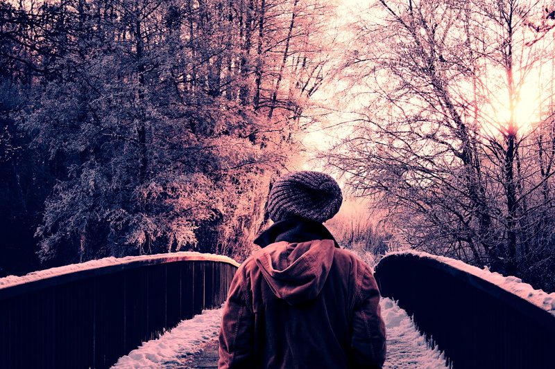 strolling, nature, outdoors, one person, plant, people, cold temperature, warm clothing, hood - clothing, lifestyles, forest, snow, day, person, man, clothing
