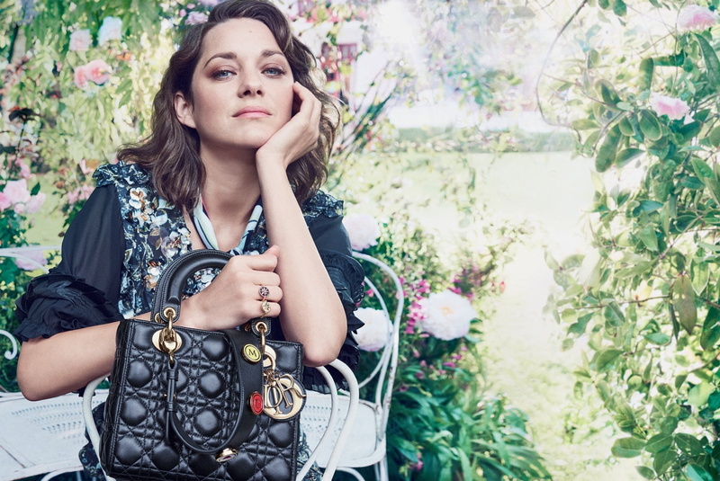 Brunette, Actress, Actresses, Sunny, 1080P, Blue Eyes, French, Marion Cotillard, Bag