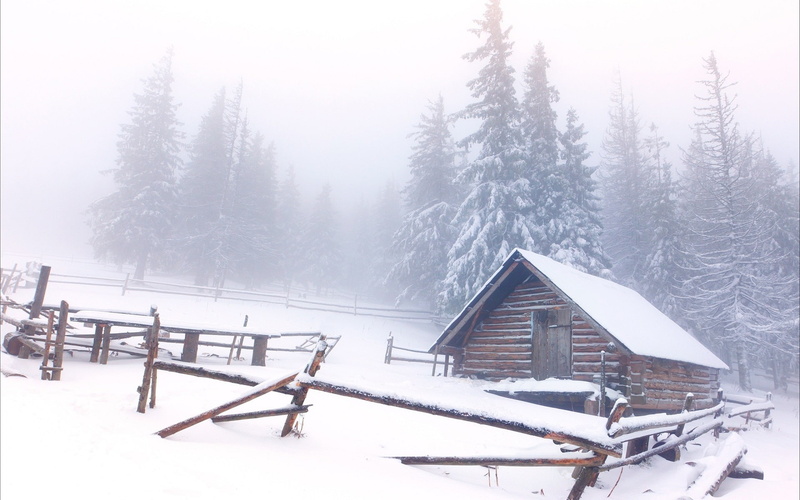 forest, mist, cabin, trees, 1080P, winter, snow