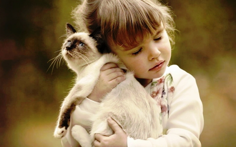 brown, 720P, children, black, cat