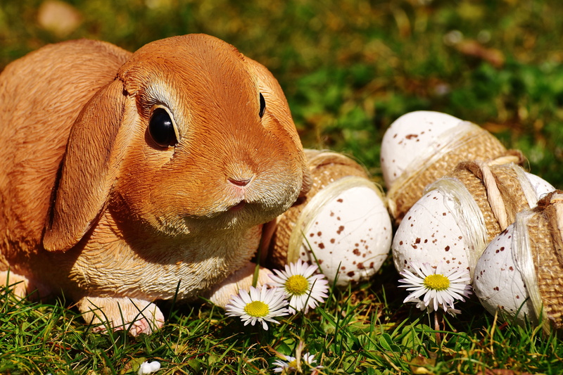 green Color, eggs, 5K, close-up, animal themes, one animal, depth of field, Easter bunny, easter eggs, outdoors, easter, beside, grass, day, focus on foreground