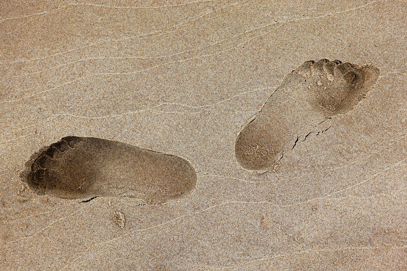 walk, beach, land, no people, nature, print, outdoors, day, impression, animal themes, step, footprint, animal, goofy, sea, close-up, feet, foot, human