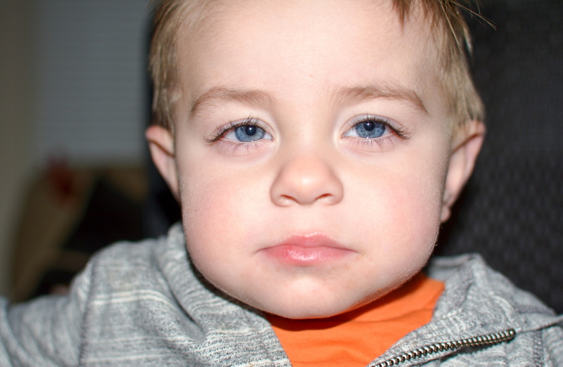 Boy, blue, one person, kid, Toddler, 5K, joy, little, son, front view, looking, happiness, offspring, small, fresh, indoors, perfect, Cute, smiling, human face