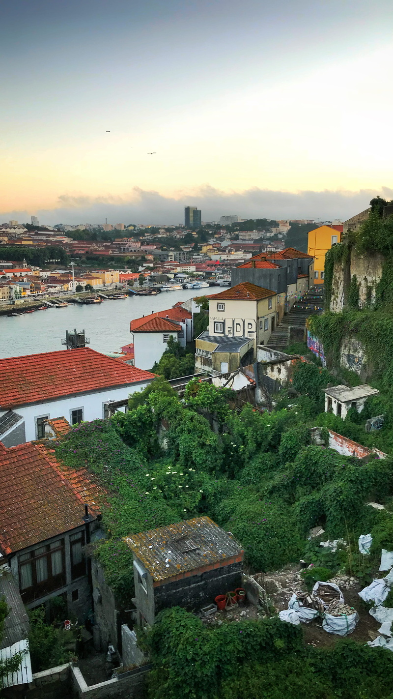 urban, building, high angle view, architecture, neighborhood, community, roof, tree, landscape, aerial view, town, tile roof, water, cityscape, sky, portugal