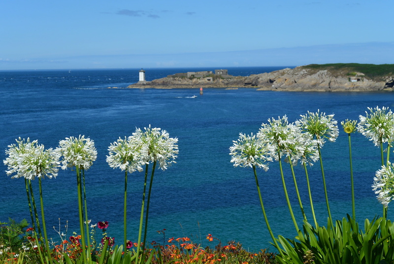 4K, brittany, nature, blue, sea, horizon over water, scenics - nature, flowering plant, land, sailboat, tranquility, sky, coast, day, outdoors, beauty in nature