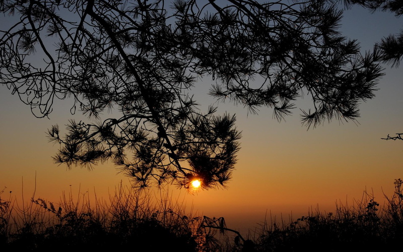 1080P, nice, gold, mysterious, dreamy, black, holidays, bretagne, picture, color, sunrise, clouds, dawn, calming