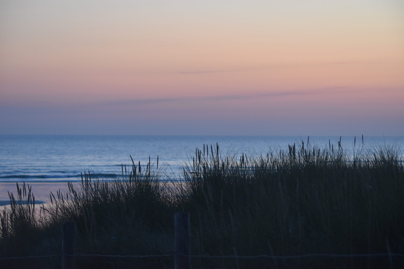 sky, plant, cloud - sky, bretagne, gras, horizon, beauty in nature, tranquility, france, beach, outdoors, scenics - nature, sea, orange color, grass, sand