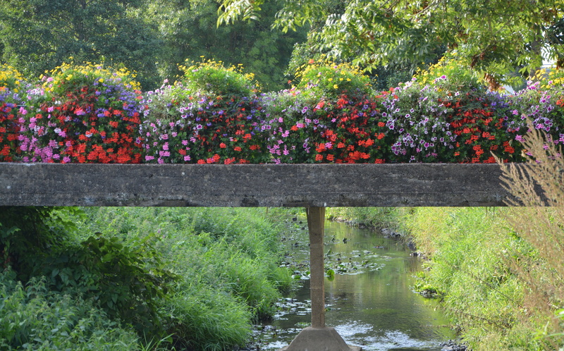 dol de bretagne, outdoors, water, ornamental garden, nature, freshness, garden, reflection, plant, fragility, bridge fleuri, day, beauty in nature, tourist town