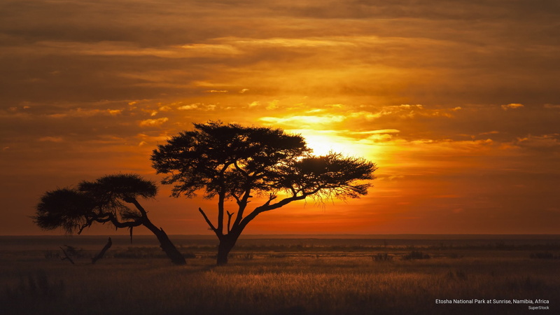 2K, Africa, etosha, park, sunrise, namibia, national