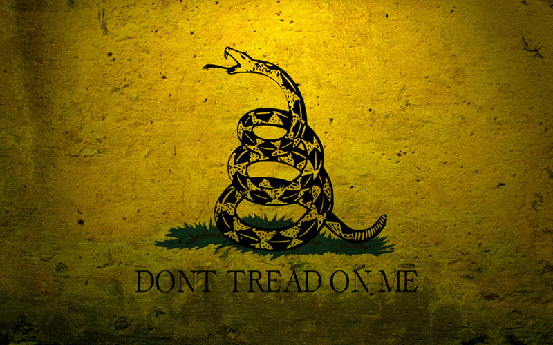 dont, navy, flags, tread, concrete, gadsden, flag, military, 2K, usa