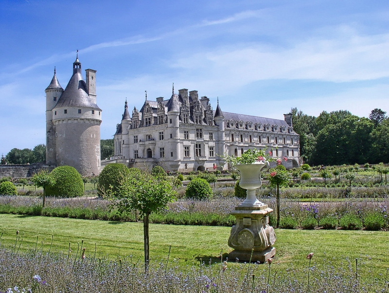 building exterior, history, no people, architecture, garden, travel, france, Castle, old, built structure, building, plant, outdoors, Renaissance, travel destinations